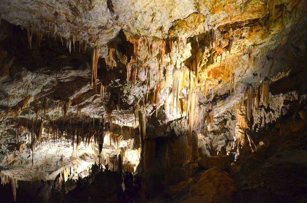 Cuevas de Postojna Eslovenia